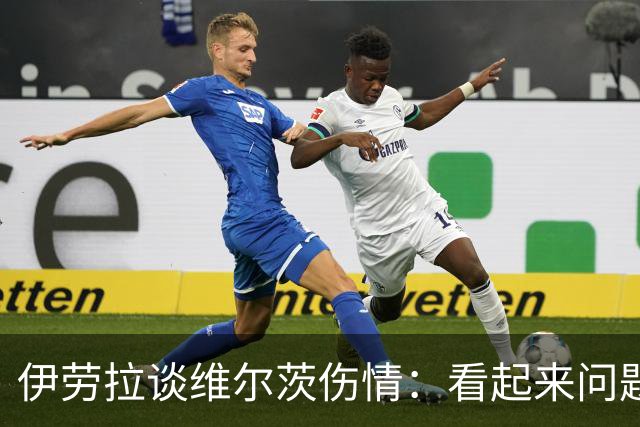 伊劳拉谈维尔茨伤情：看起来问题不大，但还需要进一步检查