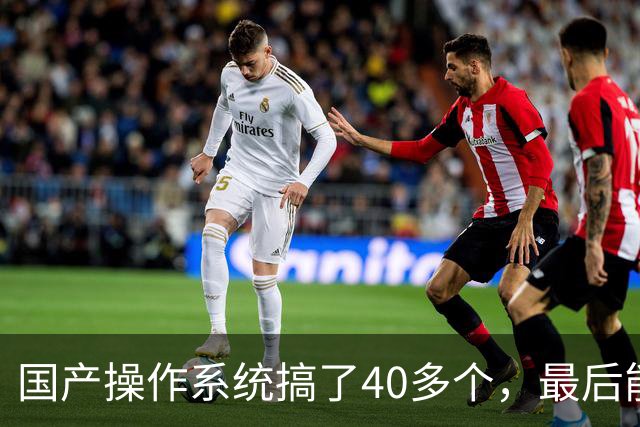 国产操作系统搞了40多个，最后能跟Windows掰手腕的可能就两三个
