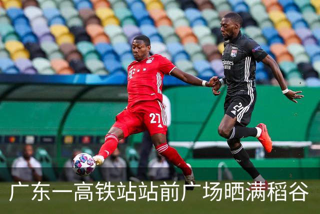广东一高铁站站前广场晒满稻谷“治愈风”拉满，当地回应：不影响运行即可晾晒