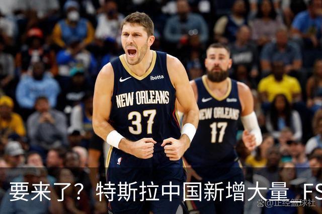 要来了？特斯拉中国新增大量 FSD 功能和图标