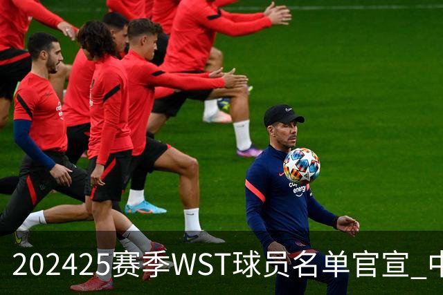 2024/25赛季WST球员名单官宣 中国军团共26人出战